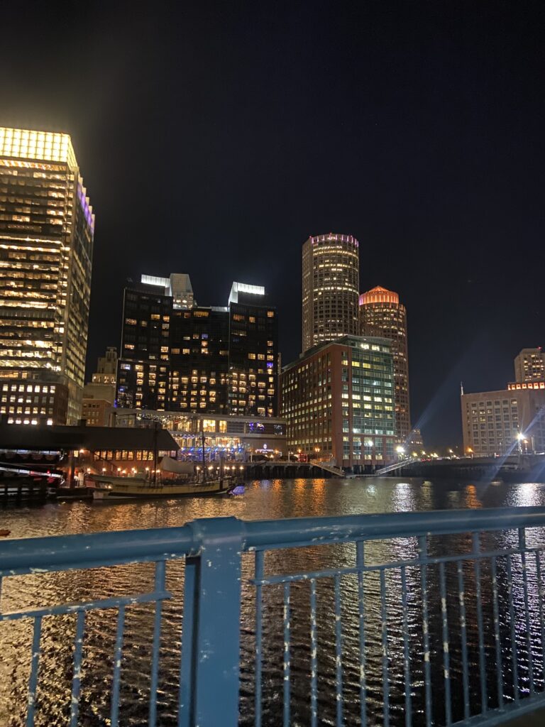 Boston Skyline by the water